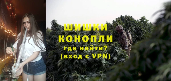 Альфа ПВП Дмитриев