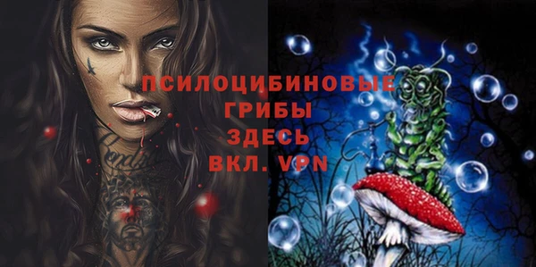 герыч Долгопрудный
