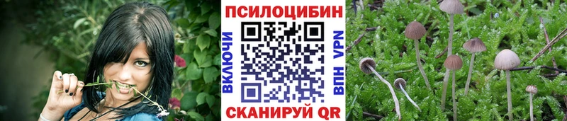 даркнет какой сайт  где купить наркоту  Канск  Псилоцибиновые грибы Psilocybine cubensis 